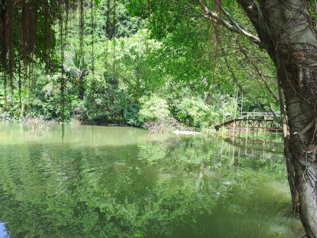 Thung Sen Tam Coc Chalets Νιν Μπιν Εξωτερικό φωτογραφία