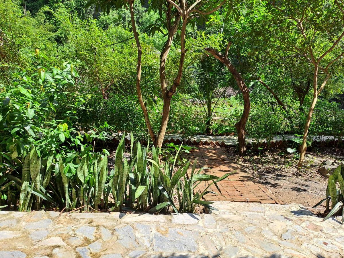 Thung Sen Tam Coc Chalets Νιν Μπιν Εξωτερικό φωτογραφία