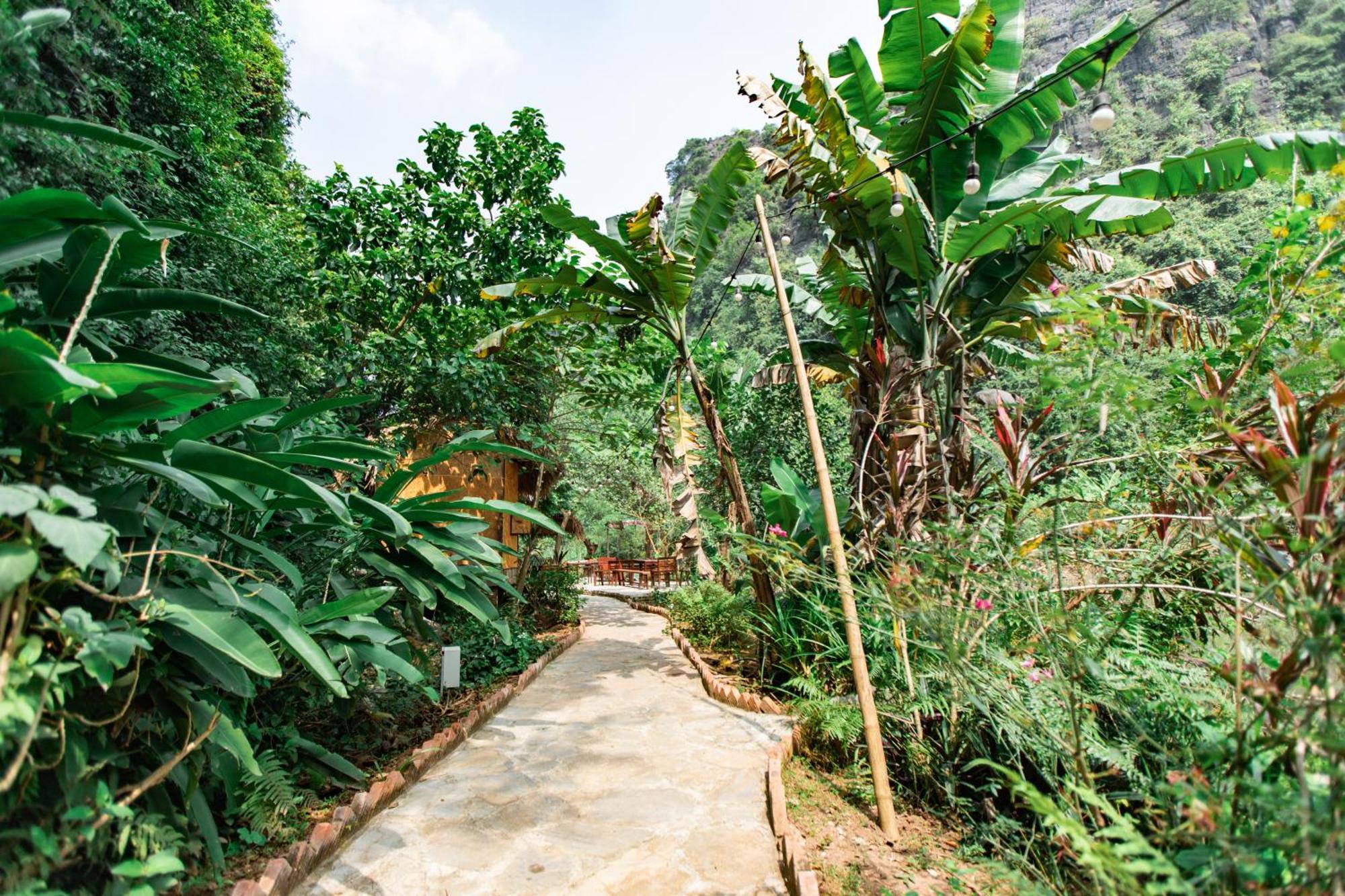 Thung Sen Tam Coc Chalets Νιν Μπιν Εξωτερικό φωτογραφία