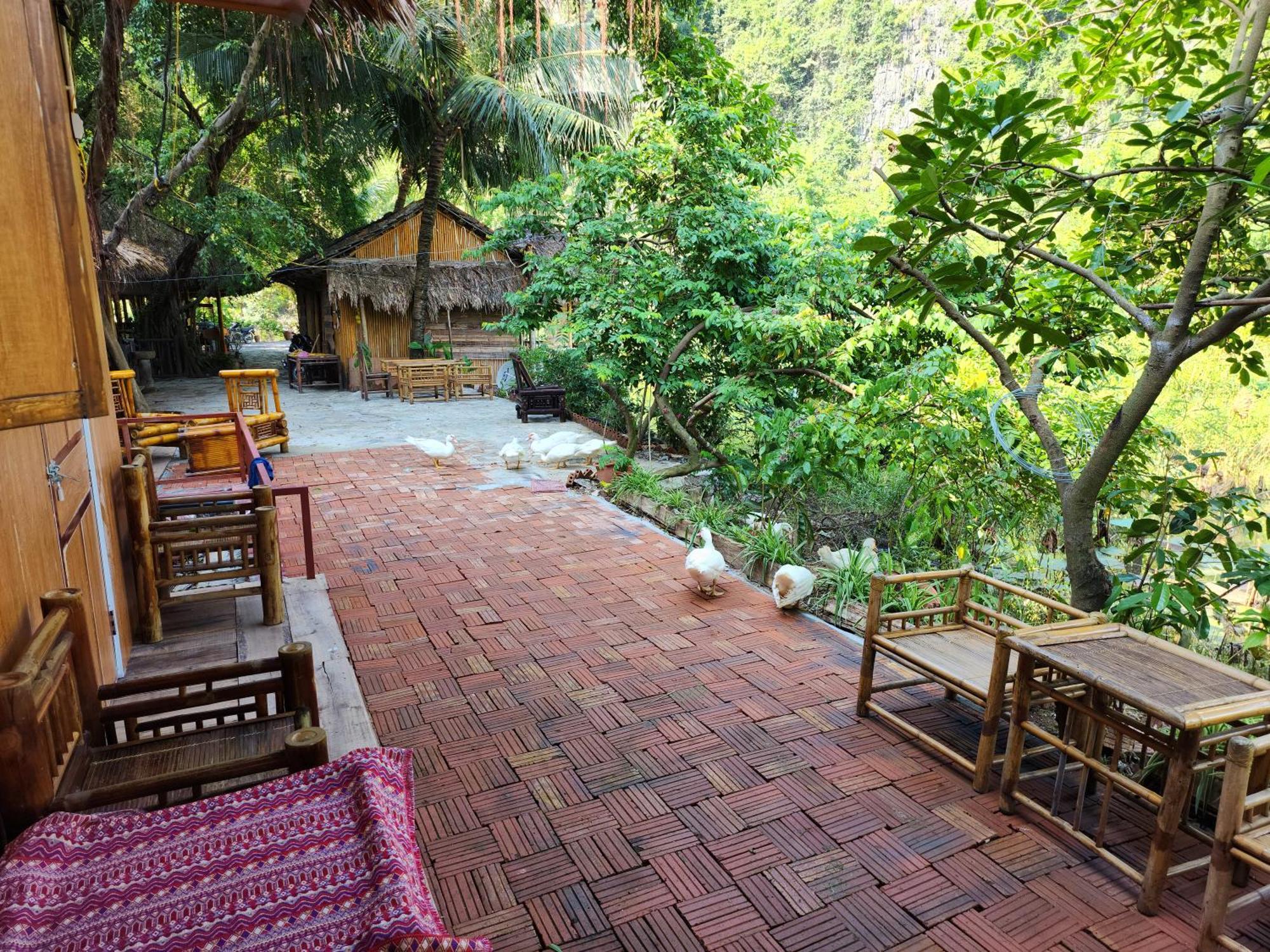 Thung Sen Tam Coc Chalets Νιν Μπιν Εξωτερικό φωτογραφία